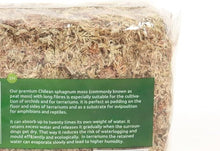 Načíst obrázek do prohlížeče Galerie, Dry Sphagnum - Rašeliník je vláknitý mech pocházející z Chile.A1
