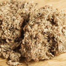 Načíst obrázek do prohlížeče Galerie, Dry Sphagnum - Rašeliník je vláknitý mech pocházející z Chile.A1
